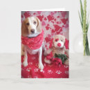 Search for naughty valentines day cards Sweetheart