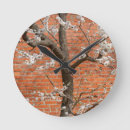 Search for apricot tree posters Flowers