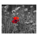 Search for red white and black posters Landscape
