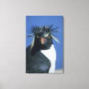 Search for unusual canvas prints Animal