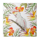 Search for parrot tiles Cute