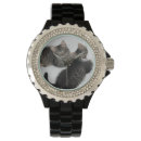 Search for rescued watches Cats