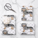 Search for black hair wrapping paper Dachshund