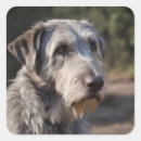Search for wolfhound stickers Dog