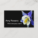 Search for columbine photography Flower