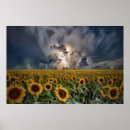 Search for sunflower posters Digital