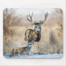 Search for larry ditto mousepads Superstock