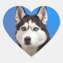Search for husky puppy stickers Animal