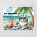 Search for felines postcards Kitty