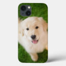 Search for playing ipad cases Dog