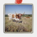 Search for longhorn cow christmas decor America