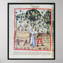 Search for harvested posters Grape