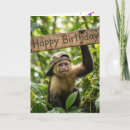 Search for monkey birthday cards Jungle