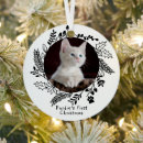 Search for cats first christmas tree decorations Pet cat