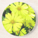 Search for african daisy barware Daisies