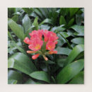 Search for exotic puzzles Leaf