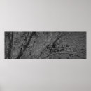 Search for panoramic photo Trees