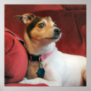 Search for classy posters Cute