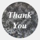 Search for generic stickers Thank you