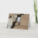 Search for eye note cards Horse