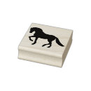 Search for galloping mare Wild