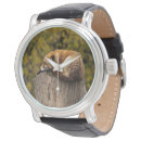 Search for fox watches Wildlife