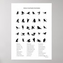 Search for reference art Numbered