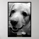 Search for labrador retriever art Yellow