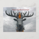 Search for cool chicken postcards Design