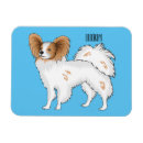 Search for papillons magnets Pet