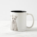 Search for old west mugs Animal