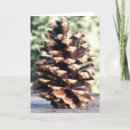 Search for vegas christmas cards Nevada