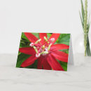 Search for passion cards Flower