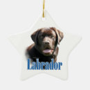 Search for labrador dog christmas decor Chocolate lab