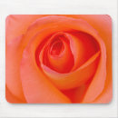 Search for rose macro electronics Blossom