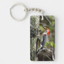 Search for bellis key rings Wildlife