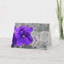 Search for violet colour cards Flower