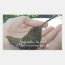 Search for hummingbird stickers Wild
