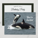 Search for orca killer whale invitations Alaska
