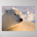Search for manitoba posters Winter