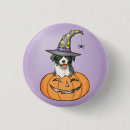 Search for border collie dog badges Sheepdog