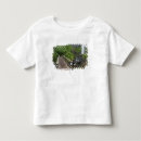 Search for falle toddler tshirts Cascade
