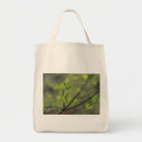 Search for 2 2 5 bags Scripture