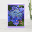 Search for hydrangeas birthday cards Flowers