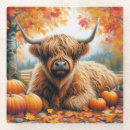 Search for cow coasters Autumn