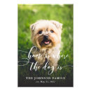 Search for photo art Modern