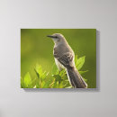 Search for bird lover canvas prints Wildlife