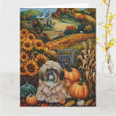 Search for sunflower lover postcards Farm