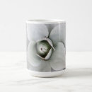 Search for agave mugs Flower