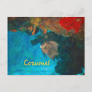 Search for cozumel postcards Tropical